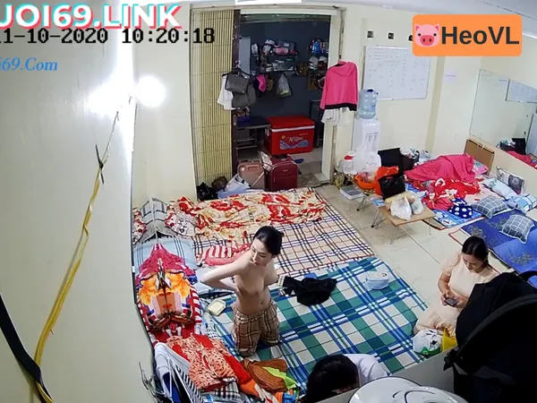 sex tôm chiên Quay lén động nhền nhện tinh